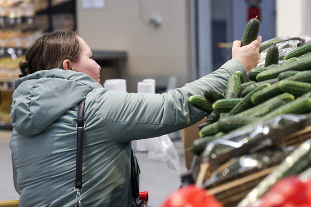Названы сроки снижения цен на огурцы
