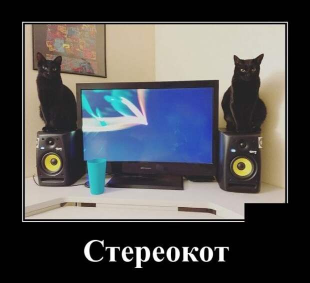 www.vsyako.net