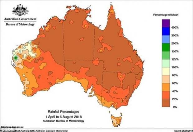На карте показано резкое снижение уровня осадков в Австралии с апреля по август 2018 года ynews, австралия, в мире, жутко, засуха, кенгуру, новости, планета в опасности