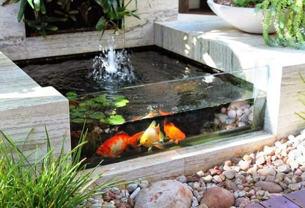 Садовый аквариум. Фото с сайта http://homesthetics.net