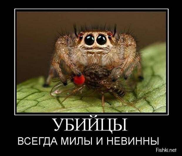 Демотиваторы демотиваторы, юмор