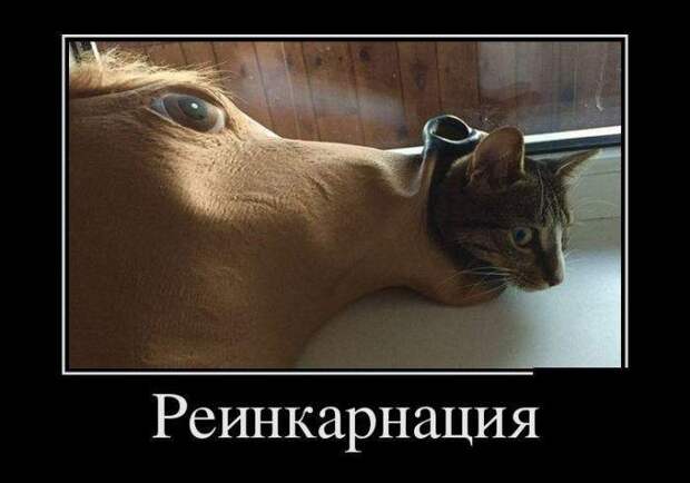 Демотиваторы на субботу (28 фото)