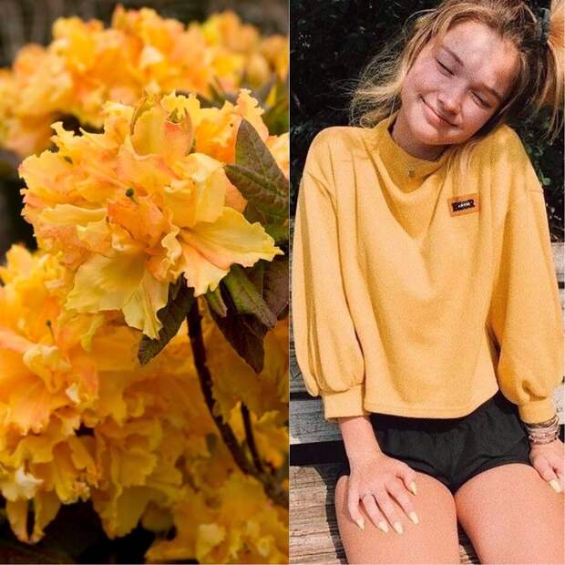 цветок имени Алла