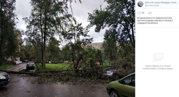 Сильнейшие порывы ветра валят деревья на автомобили в Петербурге