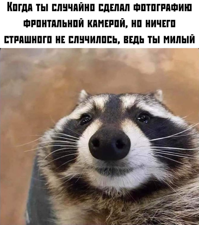 Милашка.
