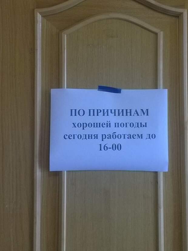 Прикольные картинки. Вечерний выпуск (58 фото)