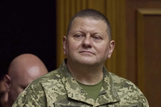 Шарий: Залужного хотели отравить по указанию офиса Зеленского