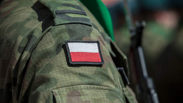 В Минобороны Польши заявили об отсутствии планов отправлять войска на Украину