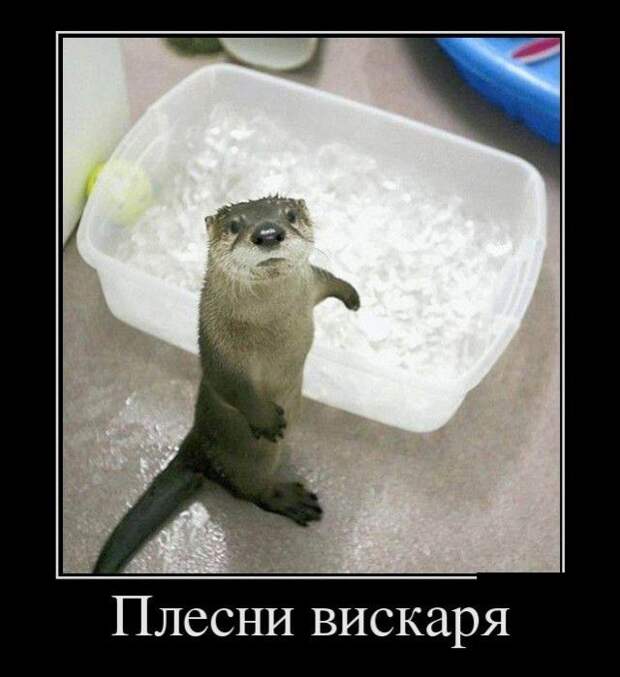 Демотиваторы (30 фото)