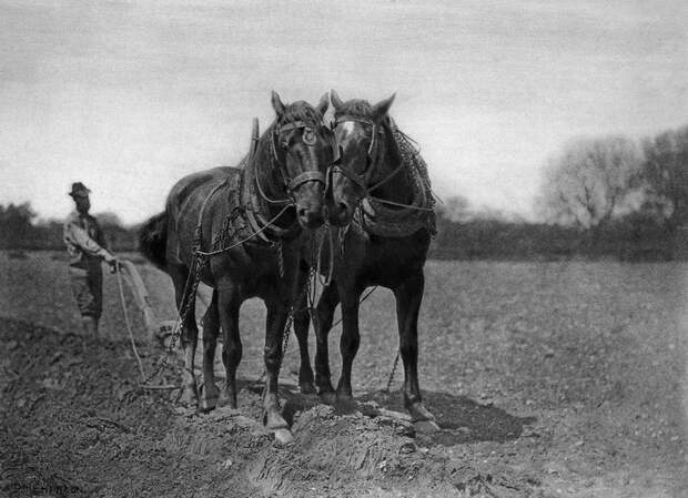 Великобритания 1886 года в фотографиях Peter Henry Emerson Великобритания 1886 года в фотографиях Peter Henry Emerson