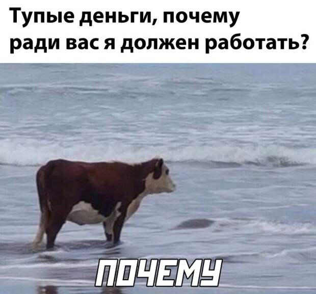 Смешные картинки вечер 4 марта 2021