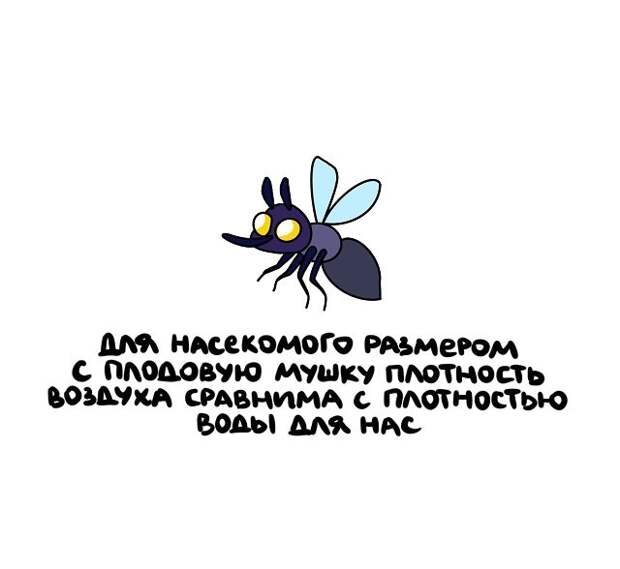 Интересные и коротенькие факты на все случаи жизни