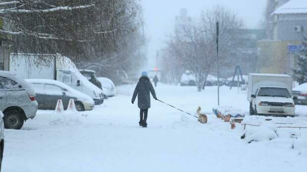 До -11. О погоде в Барнауле 27 января