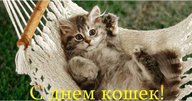 с-днем-кошек