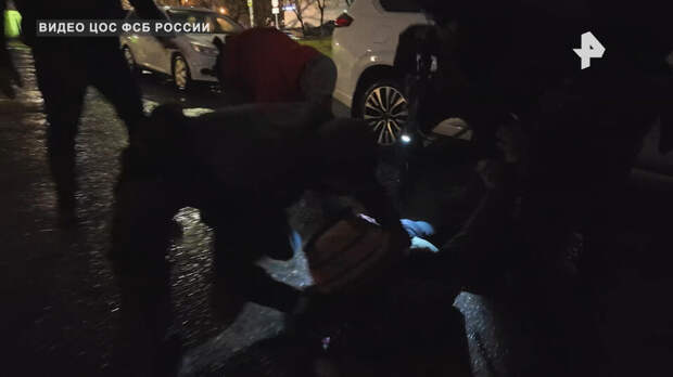 Агент Киева задержан за подготовку взрыва на энергообъекте в Московской области