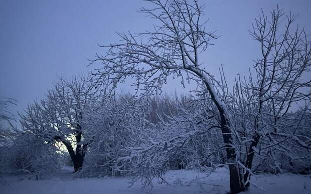 Снег, туман и усиление мороза обещают рязанцам