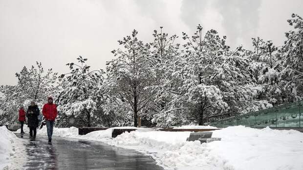 Метеоролог Сергеев спрогнозировал наступление климатической весны в феврале