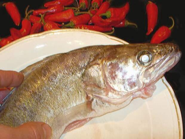 подготовка рыбы для приготовления в манты-каскане