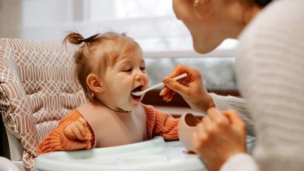 Можно ли детям быть вегетарианцами? Как составить сбалансированный рацион без мяса и молока