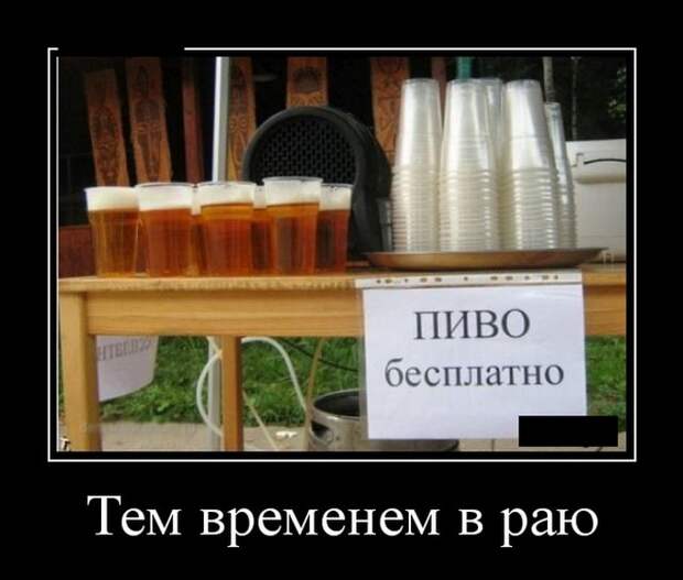 Демотиваторы (30 фото)