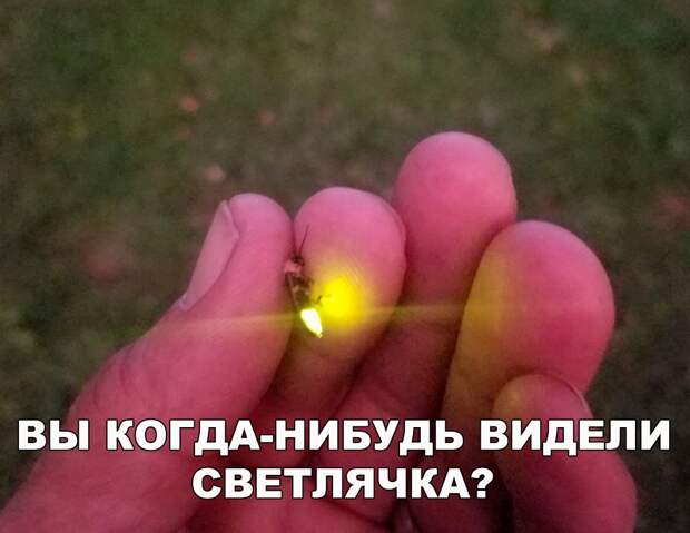 Веселые картинки с надписями для позитивных эмоций (11 фото)