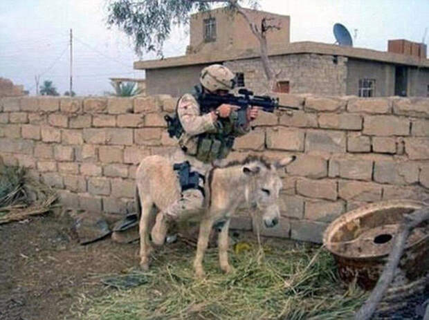 Американская кавалерия. Американская кавалерия. армия, военные, прикол, юмор