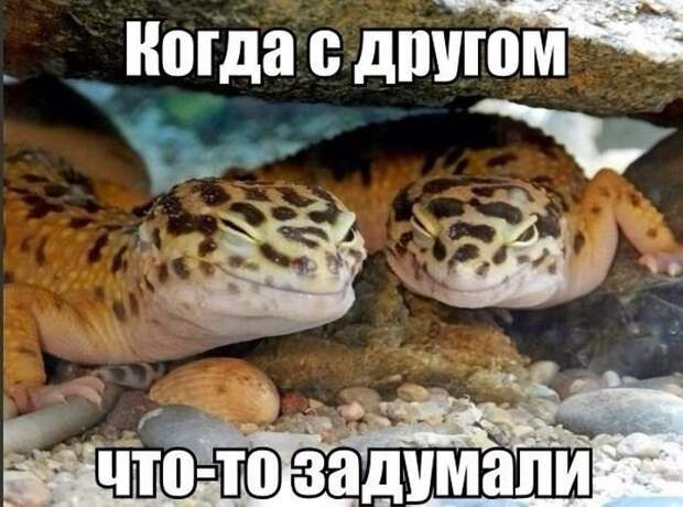 Фотоподборка субботы (111 фото)