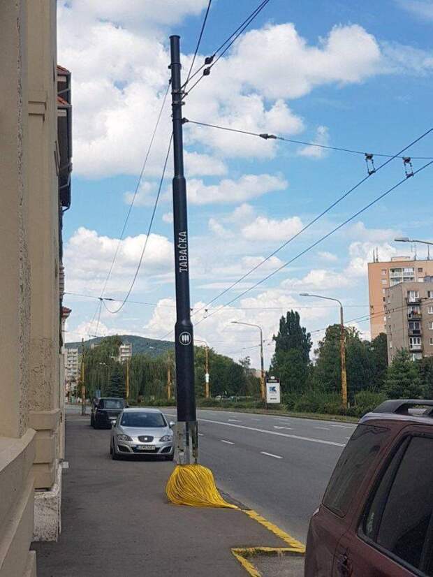 1598535467_pokazalos-5.jpg