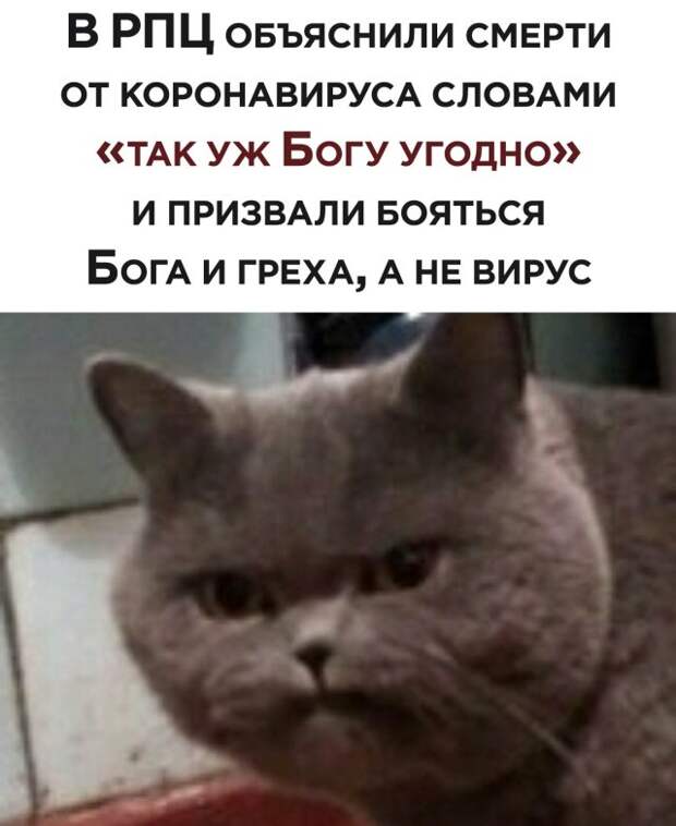 Веселые фото вечер 16 марта