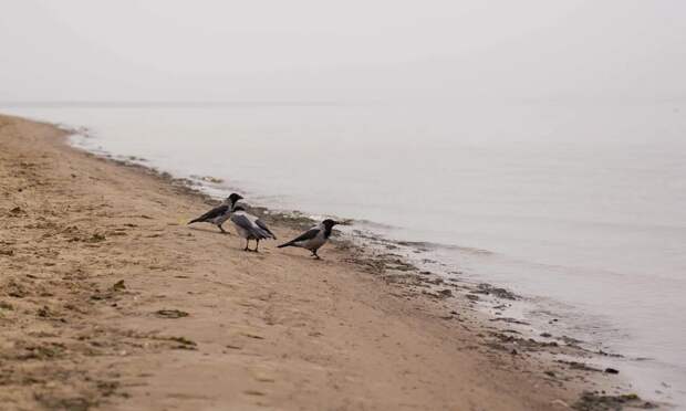 20 октября в Архангельской области будет похолодание и сильный ветер