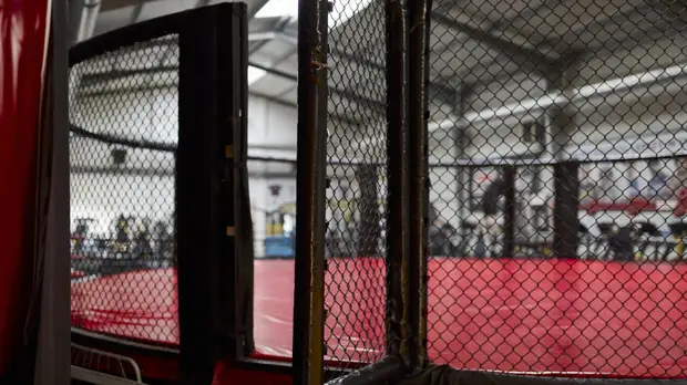 Президент Союза ММА России Габдуллин отказался уходить со своего поста