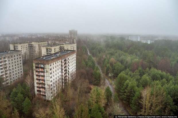 Мёртвый город Припять. Джунгли Чернобыля Мёртвый город Припять. Джунгли Чернобыля