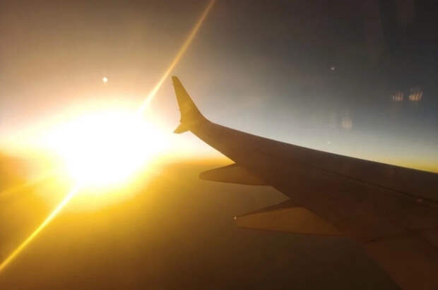 Свадебный кортеж помешал посадке пассажирского самолёта во Франции