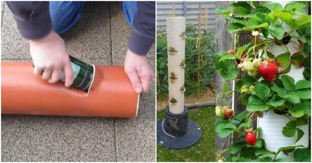 Вертикальная грядка из труб ПВХ — отличный способ сэкономить пространство и увеличить урожай
