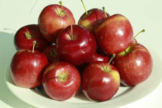 6 причин полюбить яблоки