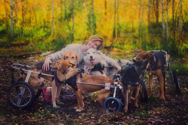 Известный московский фотограф уехала жить в лес со 100 собаками