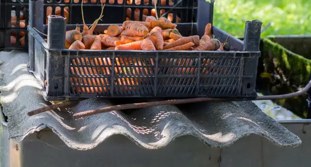 За что могут оштрафовать дачников