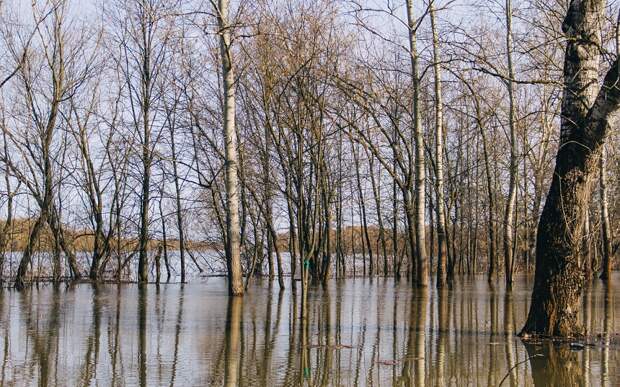 Уровень воды в Оке у Рязани превысил 4 метра выше нулевой отметки