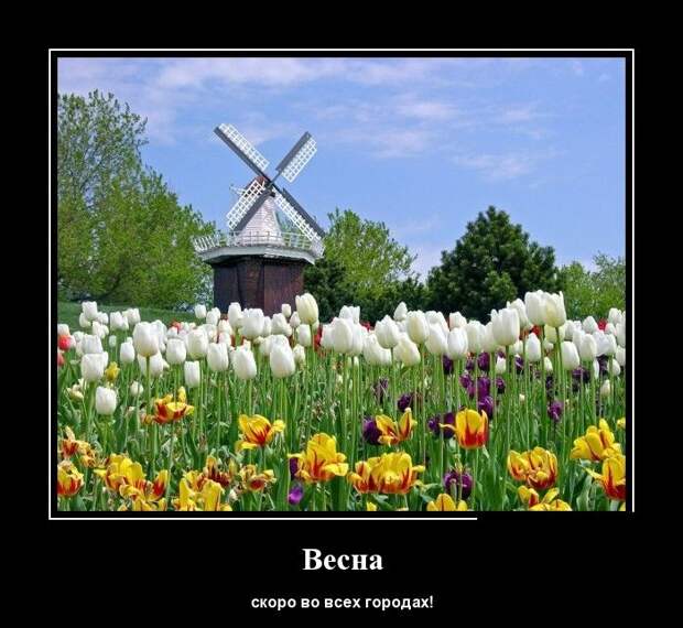 Демотиваторы (30 фото)