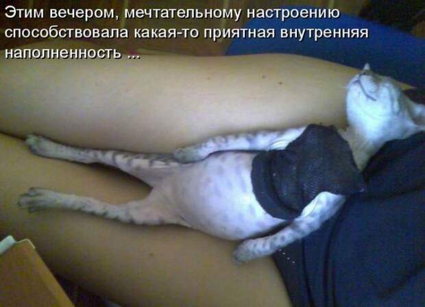 Мысли вслух :)