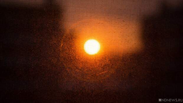 В 2025 году в Челябинске зафиксировали новый температурный рекорд