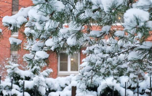Главный синоптик Петербурга предупредил о возвращении морозов на выходных