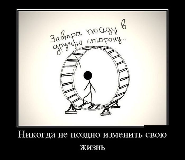 Демотиваторы (30 фото)