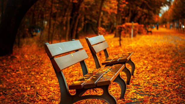 Скамейки / Фото: pxhere.com/ru/photo/1087847