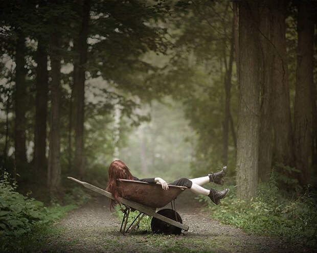 В старом лесу. Фото: Patty Maher. В старом лесу. Фото: Patty Maher.