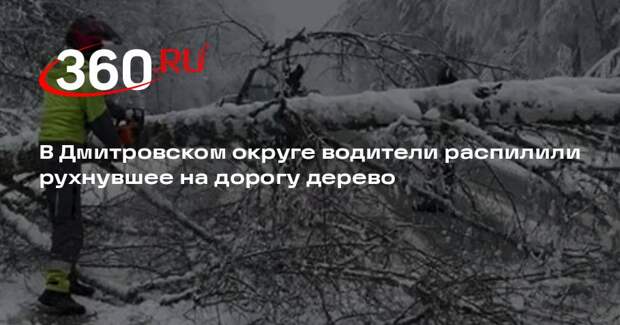 В Дмитровском округе водители распилили рухнувшее на дорогу дерево