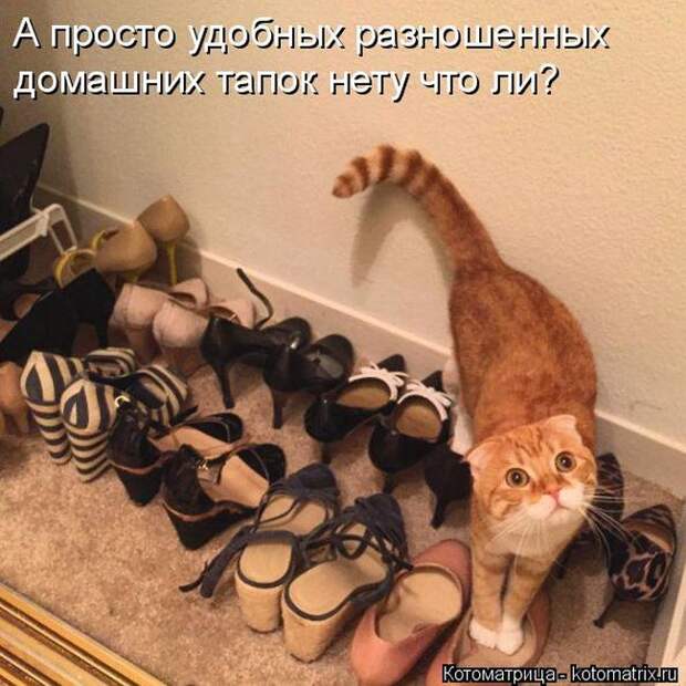 Забавные котоматрицы