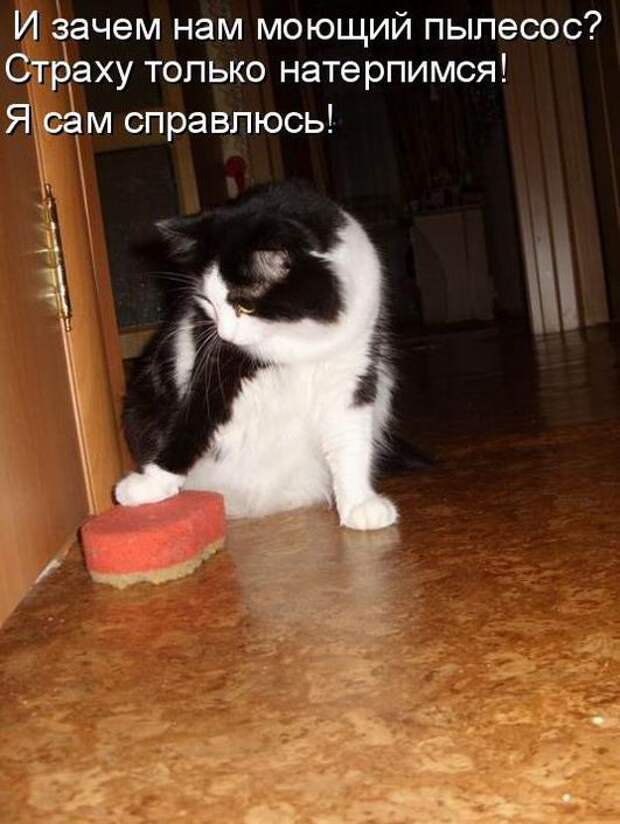 Мысли вслух :)