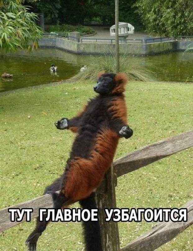 Паранормальных пикч