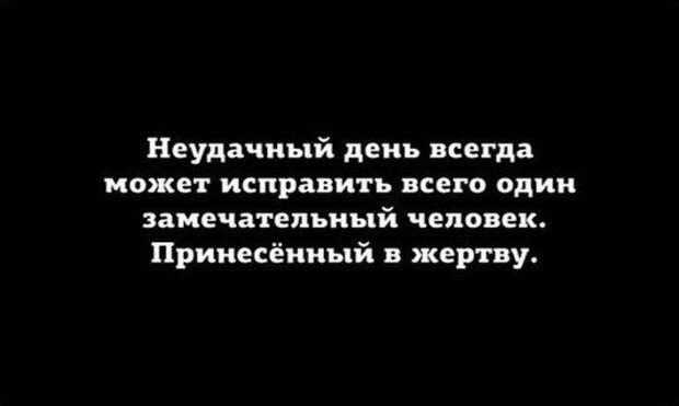 Фото приколы (46 фото)
